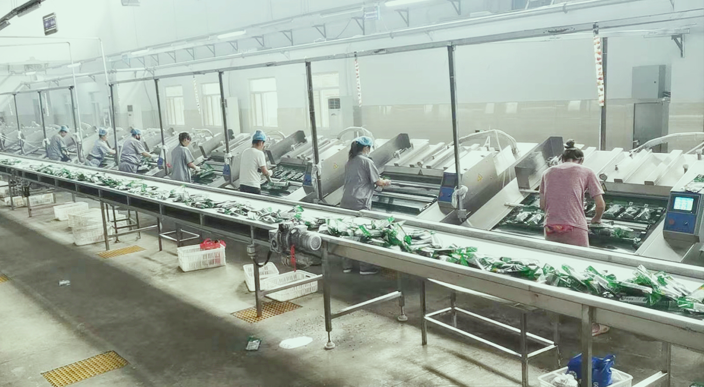 食品加工流水线系列